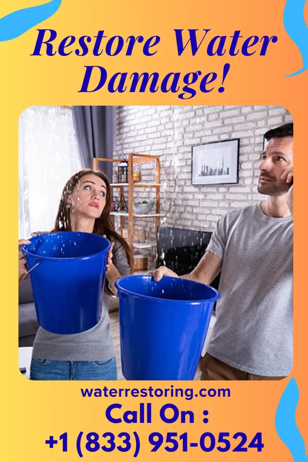 water restoration Capital Water Works Prairieville